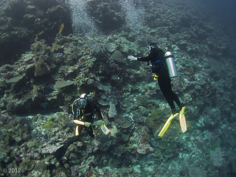 Kaz and Val over the reef.